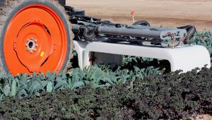 Close up of row crop sprayer over various lettuces.